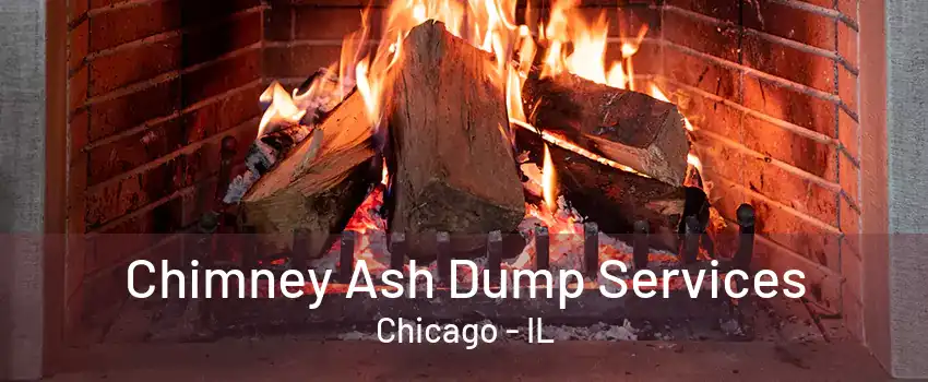 Chimney Ash Dump Services Chicago - IL