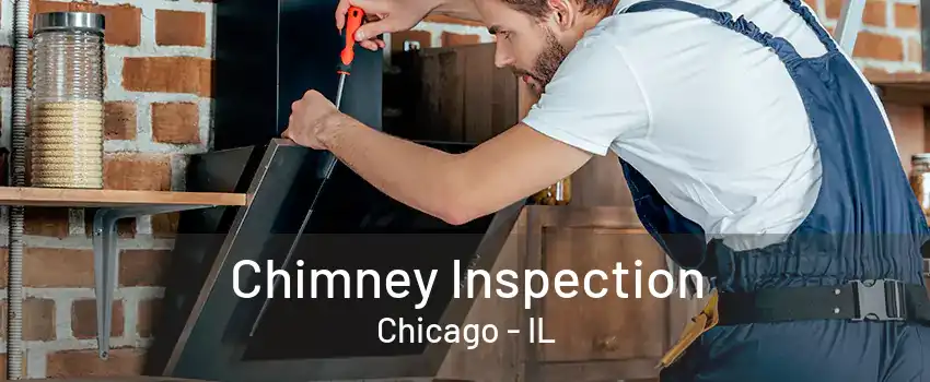 Chimney Inspection Chicago - IL