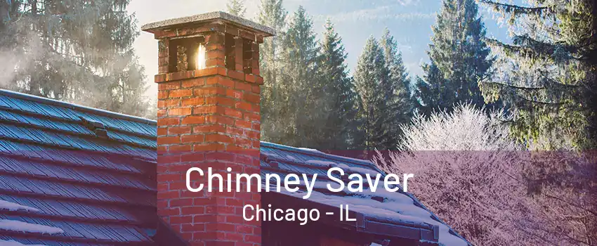 Chimney Saver Chicago - IL