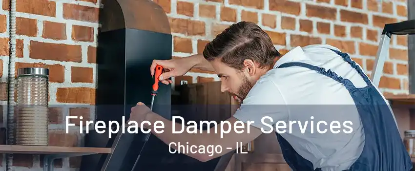 Fireplace Damper Services Chicago - IL