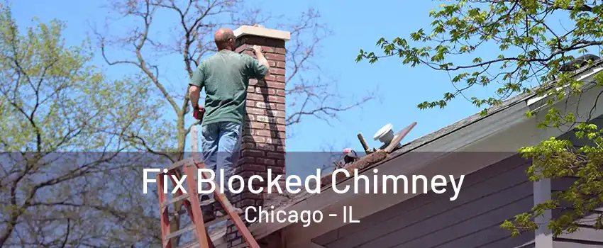 Fix Blocked Chimney Chicago - IL