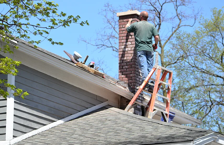 Chimney & Fireplace Inspections Services in Chicago, IL