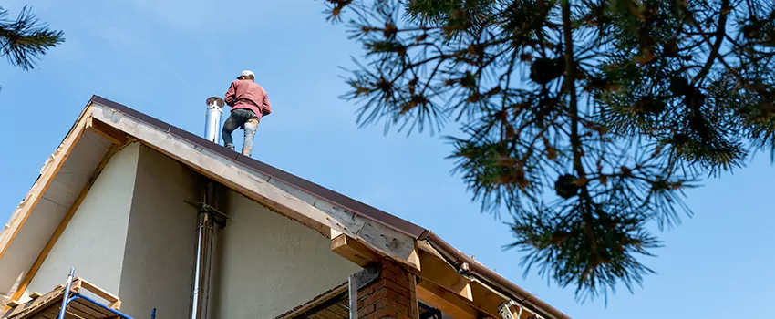 Birds Removal Contractors from Chimney in Chicago, IL